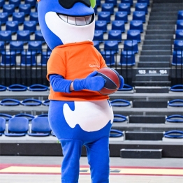 windrose-giants-antwerp-vs-val-dieu-spirou-basket-charleroi-03